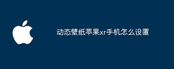 xr苹果手机如何设置动态壁纸