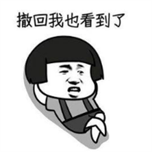 PC微信防撤回DLL補丁(微信多功能防撤回助手)V2.9.0.96 安卓手機版