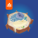 分子與細(xì)胞