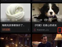 哔哩哔哩稍后再看功能怎么使用