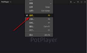 PotPlayer如何设置允许触摸功能