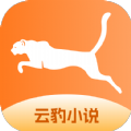 云豹小說