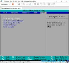 VMware是否支持从USB启动