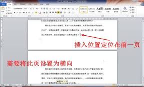 Word文档中如何指定某些页设置为横向纸张