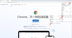 Google瀏覽器如何截圖