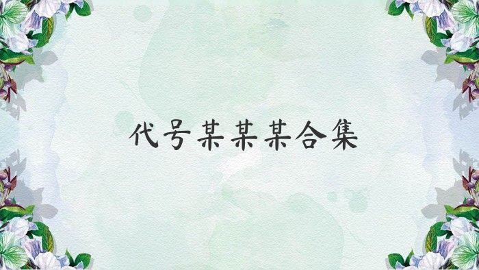 代号某某某合集