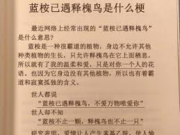 抖音藍(lán)桉已遇釋槐鳥是什么梗