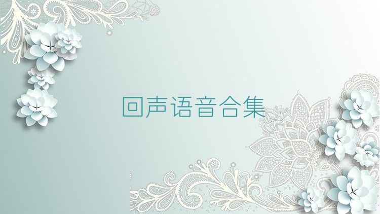 回声语音合集