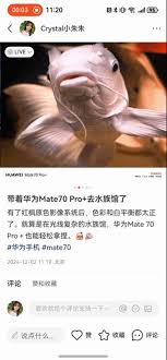 華為Mate70如何查看Live圖