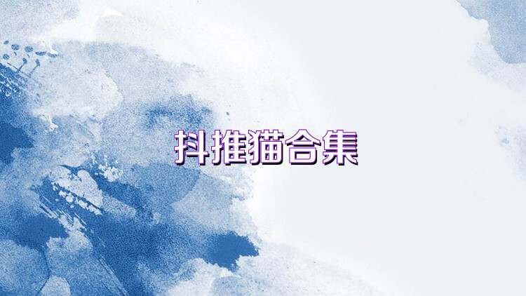 抖推猫合集