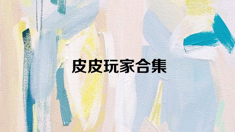 皮皮玩家合集
