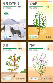 螞蟻森林如何獲取永久樹木皮膚