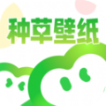 種草壁紙