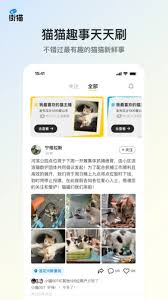 街貓app怎么發(fā)評(píng)論