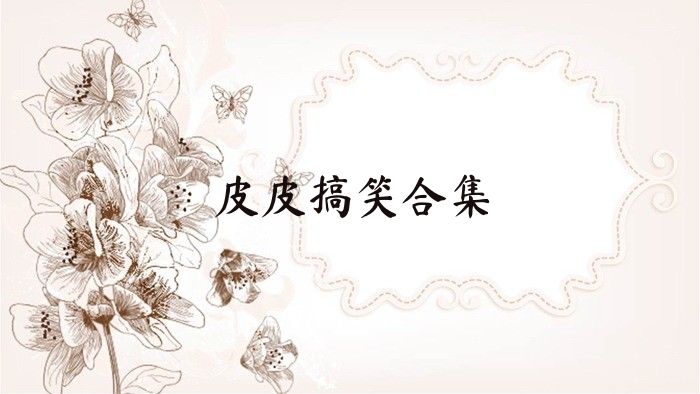 皮皮搞笑合集