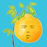 長臉的樹安卓版