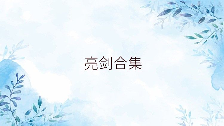亮剑合集