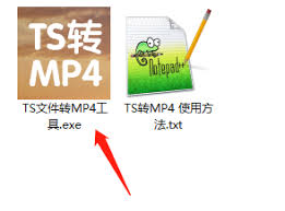 tps文件如何转换成mp4