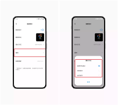 vivox80如何設(shè)置熄屏顯示
