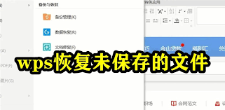 WPS文檔如何快速回到上次編輯頁面