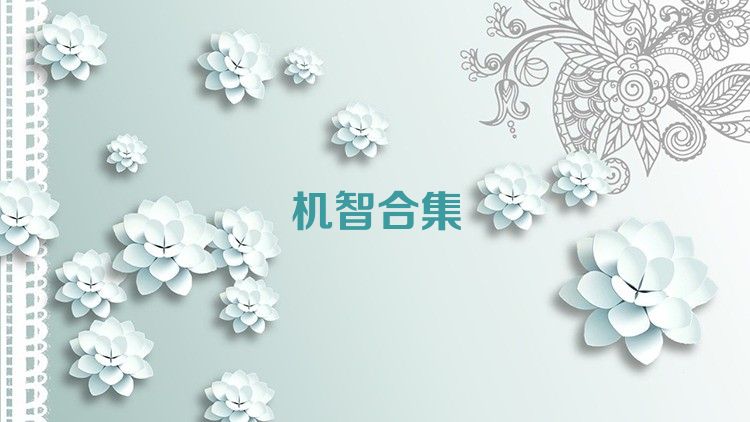 机智合集