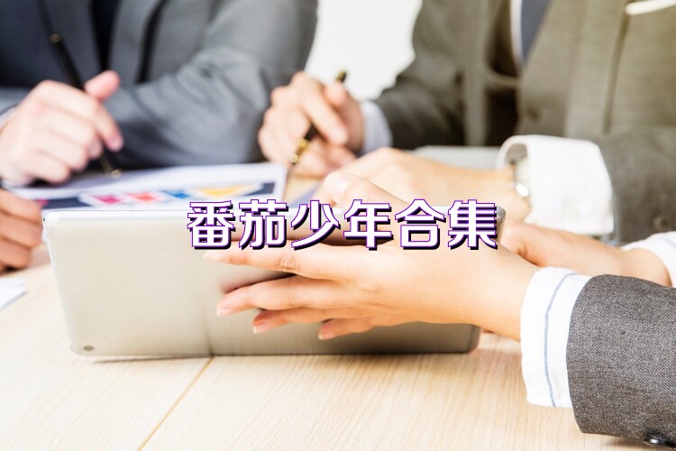 番茄少年合集