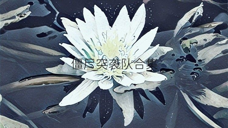 僵尸突袭队合集