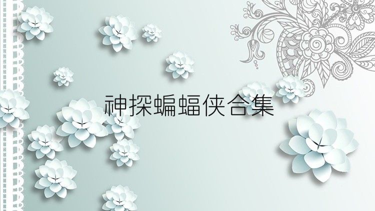 神探蝙蝠侠合集