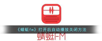 蜻蜓fm如何打開自動(dòng)播放