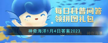 哪種海洋動物在寒冷環(huán)境中能保持約26℃核心體溫