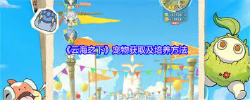 云海之下如何獲取寵物