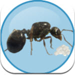 Antkeeper螞蟻模擬