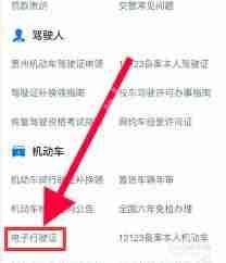 在哪申请支付宝电子驾驶证