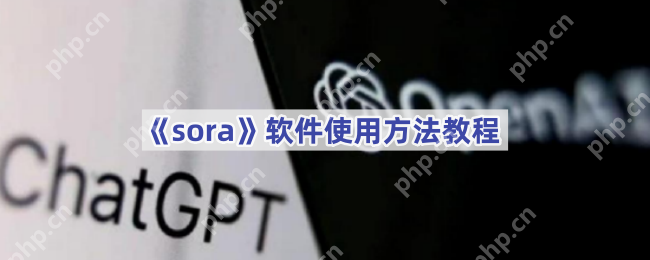 sora软件使用教程方法