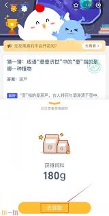 銀杏種子有刺鼻味道有啥用途
