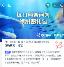 根口水母是哪種海洋動(dòng)物的別稱