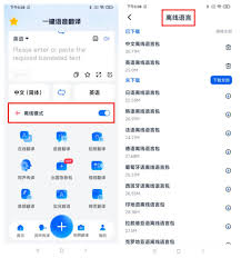 支持离线翻译的电脑软件有哪些