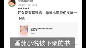 番茄小說已下架意味著什么