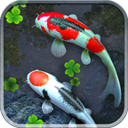 錦鯉魚池3D動(dòng)態(tài)壁紙(壁紙錦鯉主題工具)V1.66 安卓免費(fèi)版
