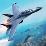 搏擊長(zhǎng)空無(wú)限戰(zhàn)機(jī)中文版