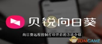 向日葵遠程打印如何開啟