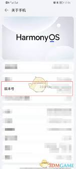 鴻蒙系統開發(fā)者選項在哪