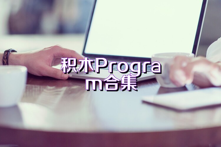积木Program合集
