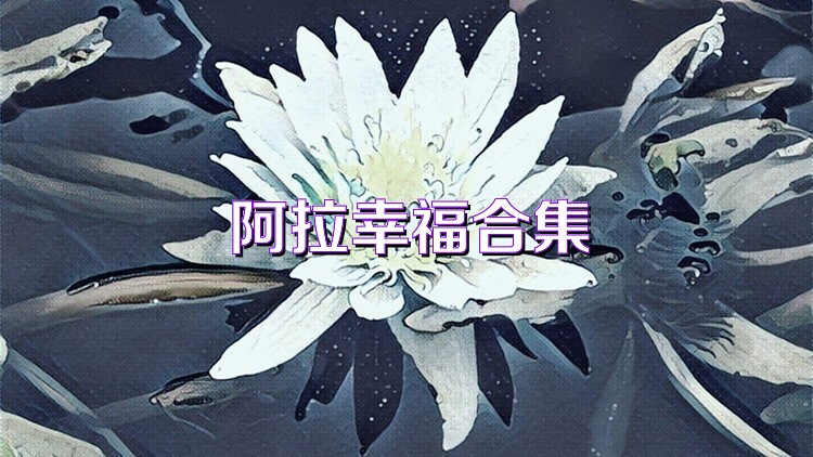 阿拉幸福合集