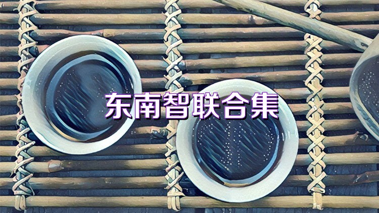 东南智联合集
