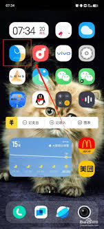 vivo手機(jī)如何關(guān)閉自動(dòng)更新