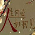 人生何必如初見(jiàn)