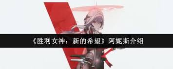 勝利女神新的希望月季復(fù)花效果如何
