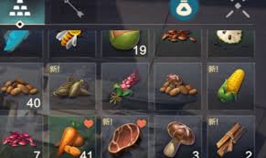 荒野起源背包如何管理