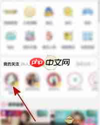 B站直播區(qū)在線觀看人數(shù)是多少